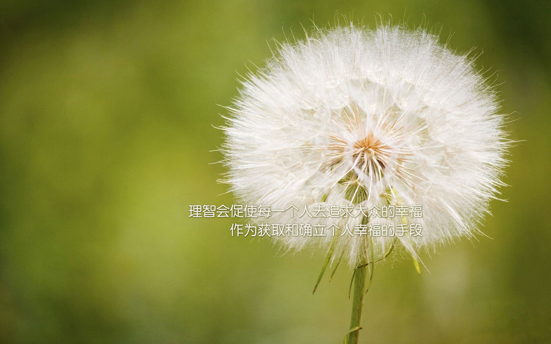 开云体育APP下载-_街头篮球嘉年华：都市青春的热血节日_，街头篮球2020春节活动