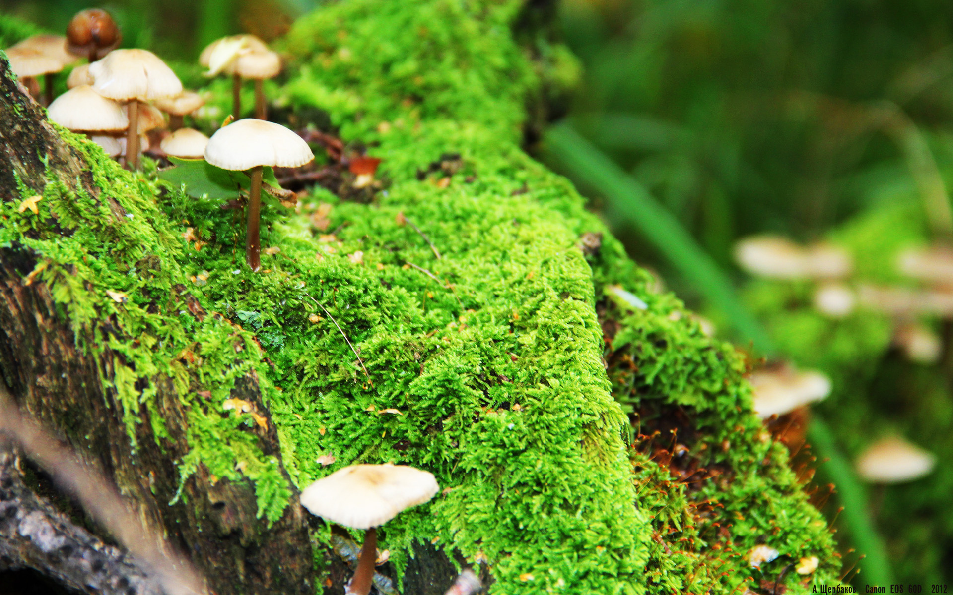 kaiyun体育综合-_访谈：网球明星的职业生涯与未来规划_，网球 明星