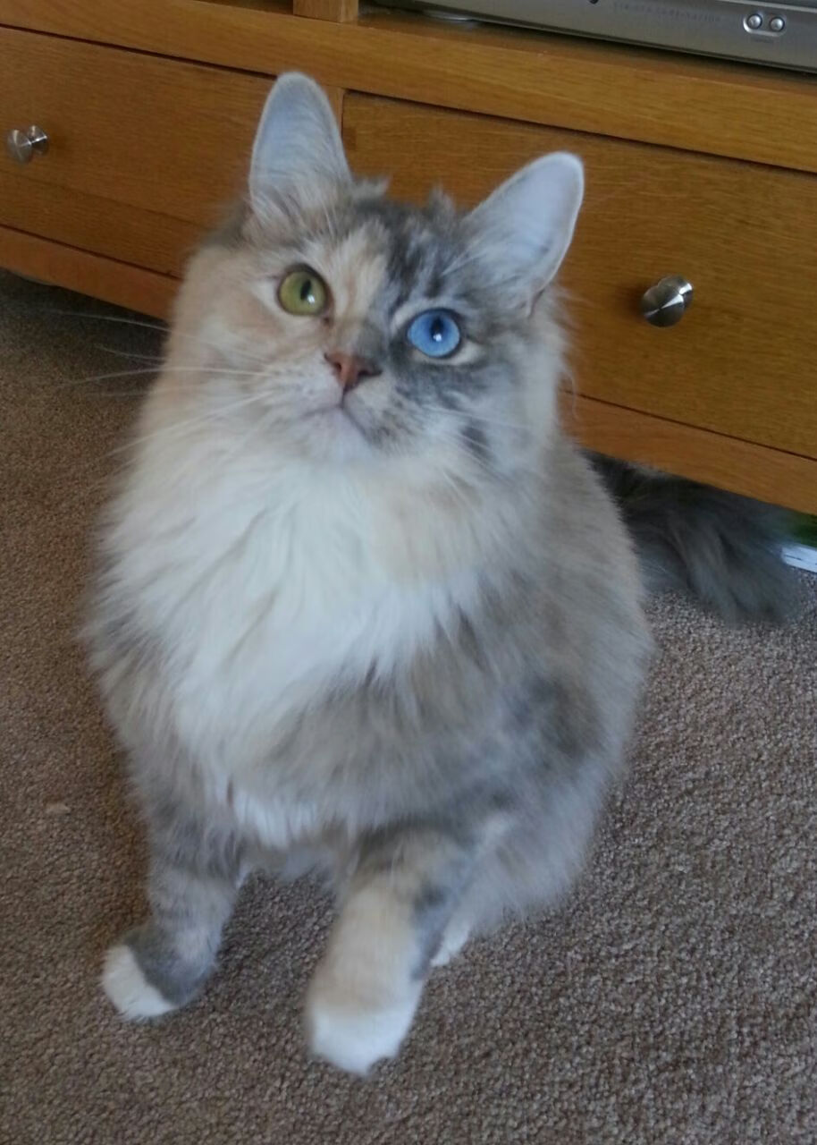 kaiyun官方网站-_赛事亮点：新技术助阵比赛流畅高清_，新技术吧