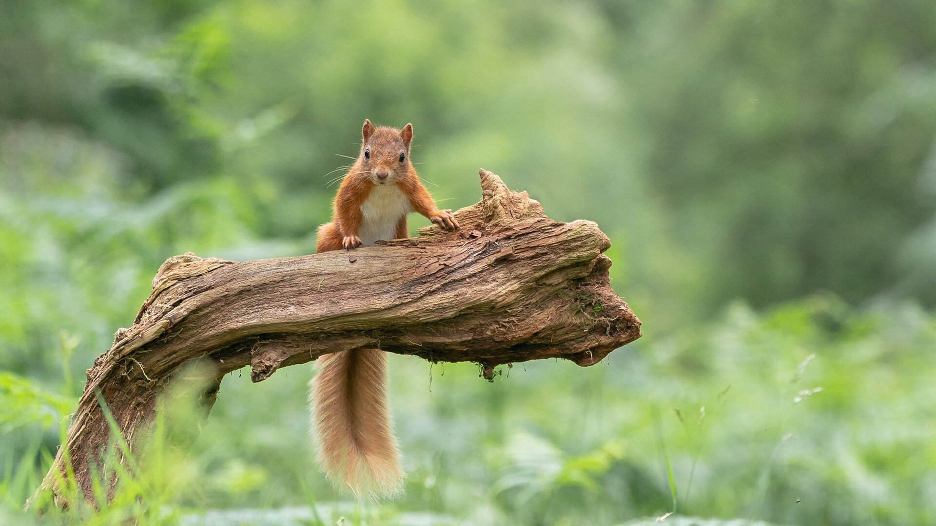 kaiyun体育app-_赛事总结：本年度最值得回忆的精彩比赛_，相当精彩的比赛