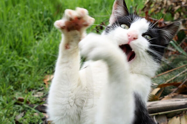 Kaiyun官方登录入口-_赛事暂停？天气因素影响比赛节奏_，球赛因天气原因中断